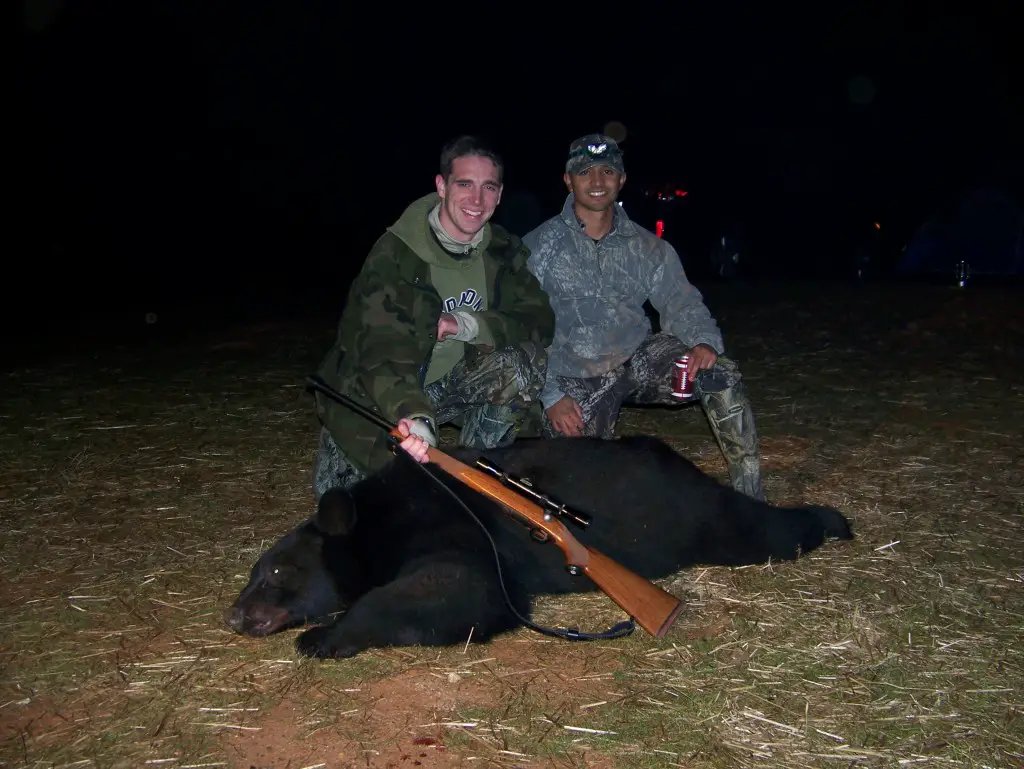 Georgia Black Bear