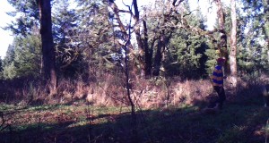 5 Trail Camera Tips To Help You Scout More Effectively 5 Trail Camera Tips To Help You Scout More Effectively