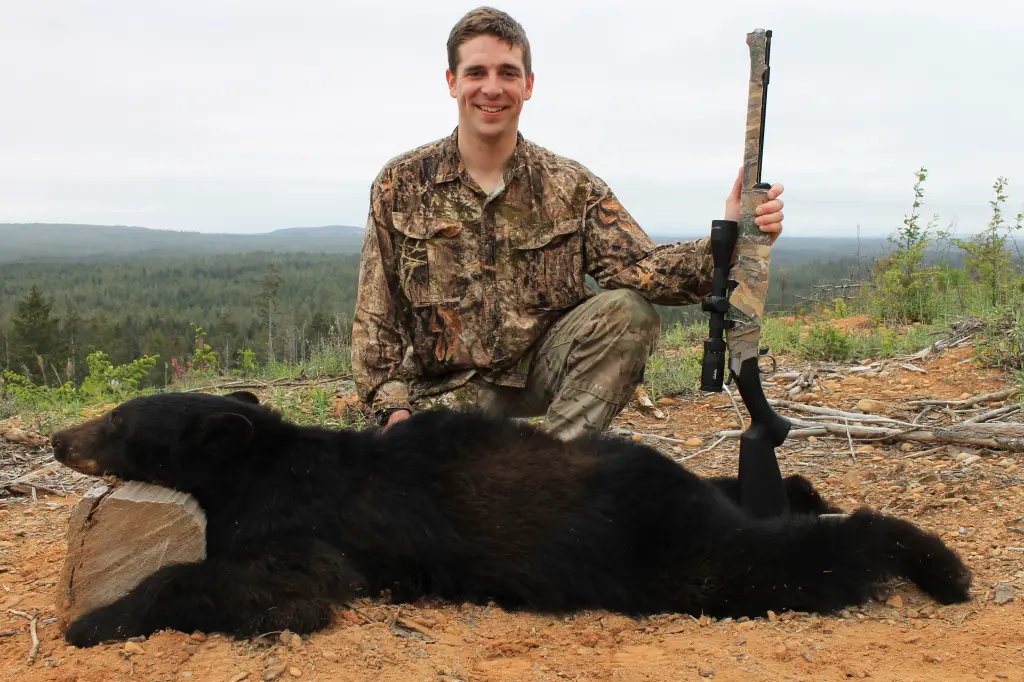 CVA Wolf Northwest review bear 1