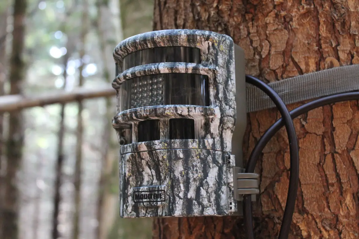 Moultrie Panoramic 150 Game Camera Review