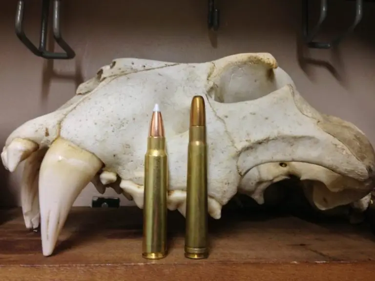 375 Ruger An Up And Coming Dangerous Game Cartridge