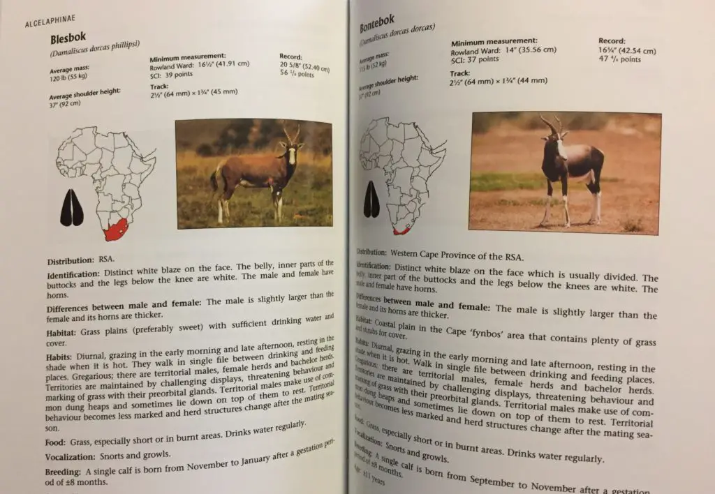Hunting Africa A Practical Guide review 3