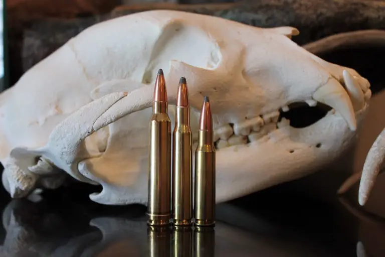 11 Best Deer Hunting Calibers