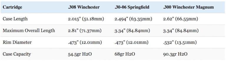 308 vs 30-06 vs 300 Win Mag: Which Should You Hunt With In 2024?