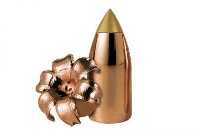 19 Best Muzzleloader Bullets For Hunters (2024)