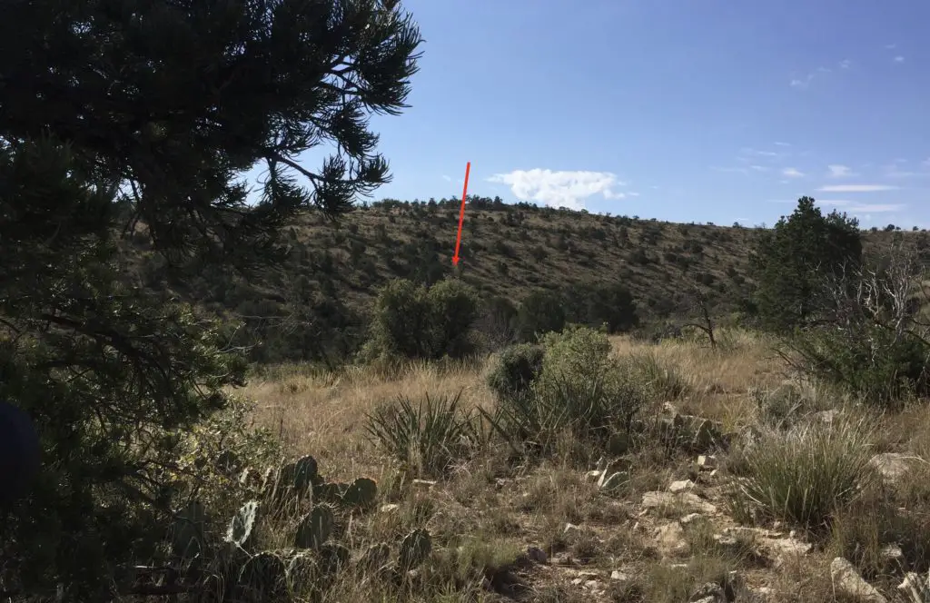 Here's How My 2017 Self-Guided New Mexico mule deer hunt On Public Land Went buck bed location