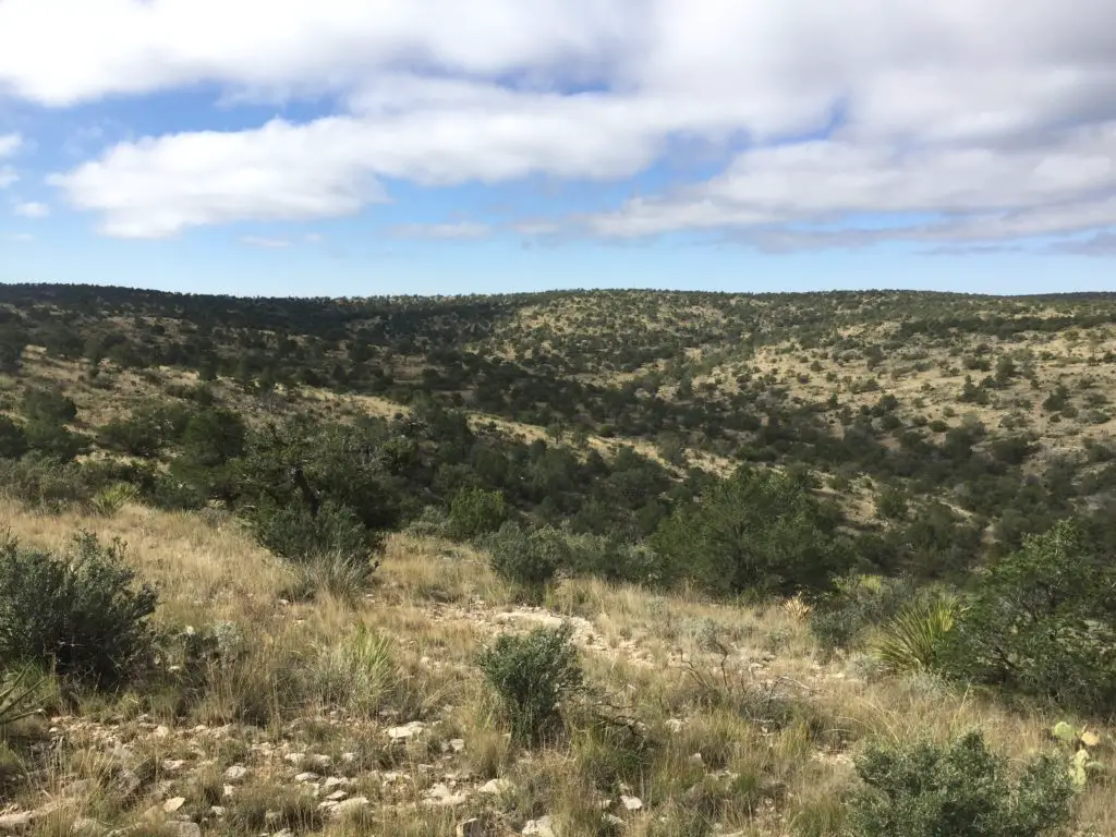 Here's How My 2017 Self-Guided New Mexico mule deer hunt On Public Land Went terrain