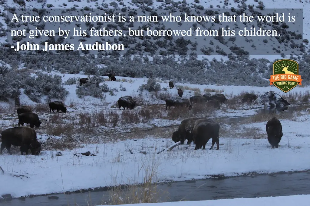 best hunting quotes true conservationist