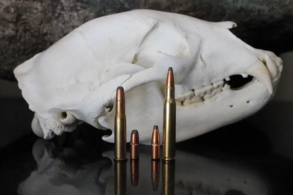 30-30 winchester vs 30-06 springfield