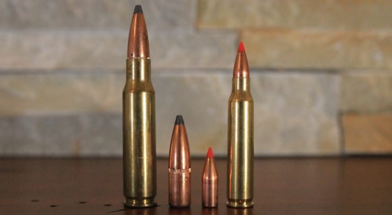 11 Best Deer Hunting Calibers