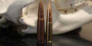 300 Blackout vs 7.62×39: Everything You Need To Know