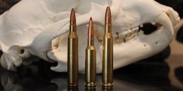 11 Best Deer Hunting Calibers