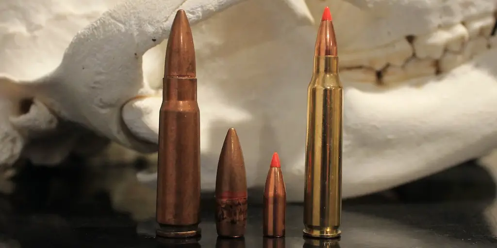 photo of 223/5.56 vs 7.62x39mm 223 bullets