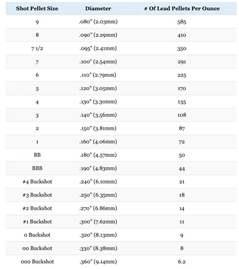 Shotgun Gauges Explained: 10 vs 12 vs 16 vs 20 vs 28 vs 410