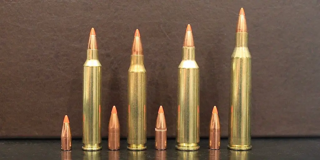 picture of 22-250 vs 223 vs 204 Ruger vs 220 Swift bullets