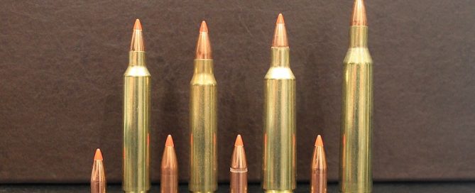 picture of 22-250 vs 223 vs 204 Ruger vs 220 Swift bullets