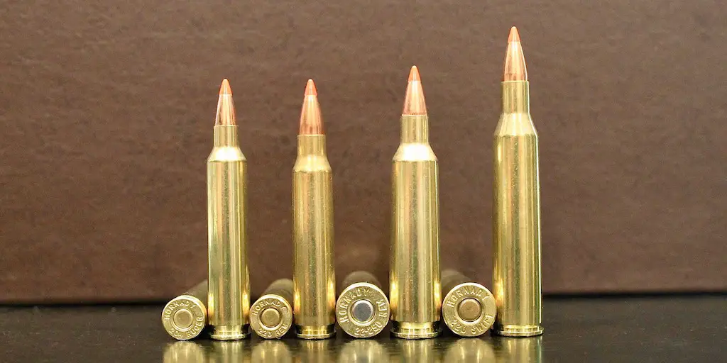 picture of 22-250 vs 223 vs 204 Ruger vs 220 Swift dimensions