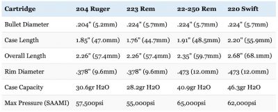 22-250 vs 223 vs 204 Ruger vs 220 Swift: Clash Of The Speed Demons