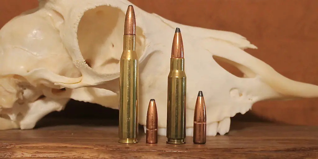 270 Winchester Ammo