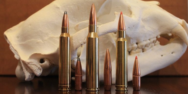 300 Win Mag vs 338 Lapua vs 338 Win Mag: Review & Comparison