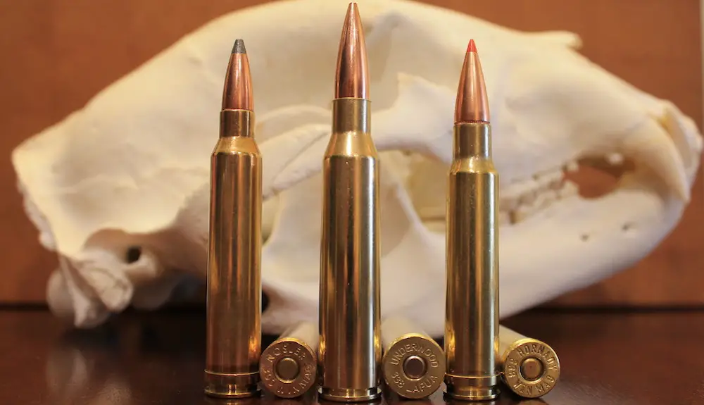 picture of 300 Win Mag vs 338 Lapua vs 338 Win Mag size comparison