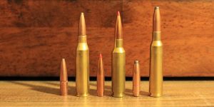 260 Remington vs 6.5 Creedmoor vs 6.5×55 Swede: Choosing The Best 6.5
