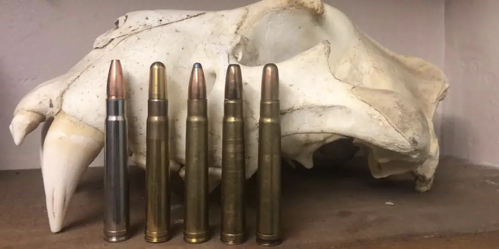 picture of Best 375 H&H Ammo For Hunting Cape Buffalo, Bear & Other Big Game