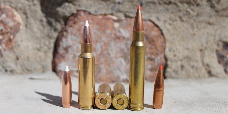 270 WSM, 7mm WSM, 300 WSM, & 325 Winchester Short Magnums Analyzed ...