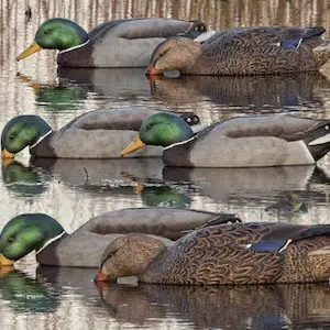picture of best gifts for hunters duck decoys