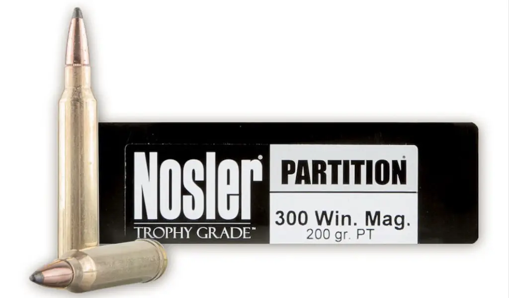 picture of best 300 win mag ammo for hunting nosler