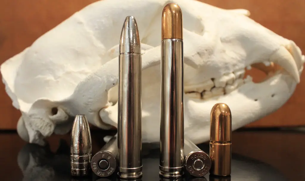 picture of 458 win mag vs 458 lott bullets