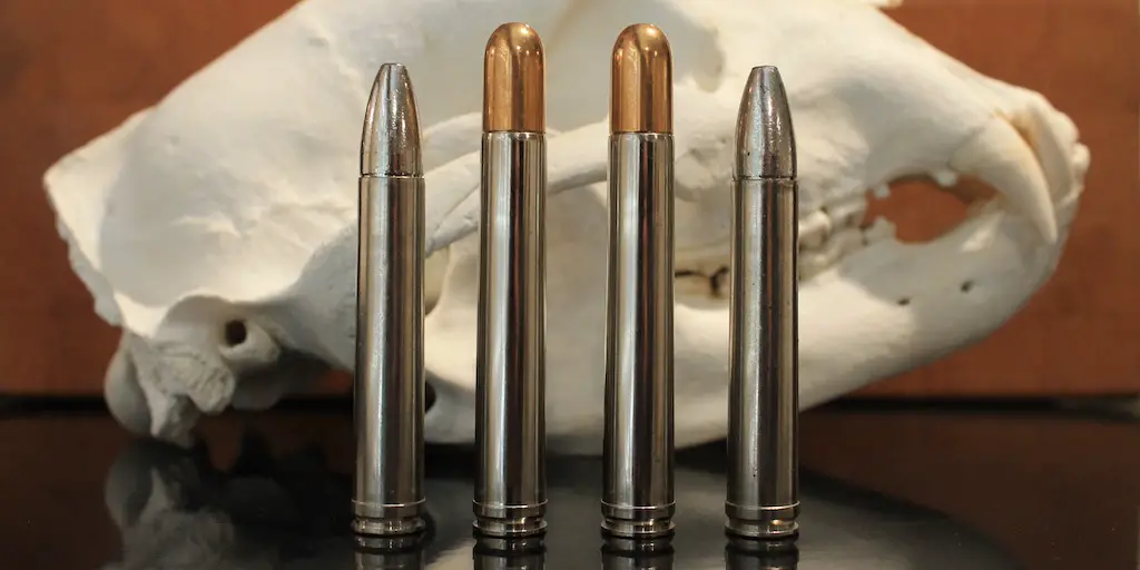 picture of 458 win mag vs 458 lott bullets