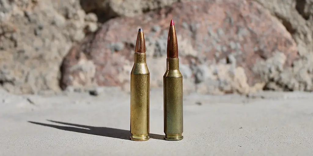 6 5 Creedmoor Vs 243 Winchester Review Comparison