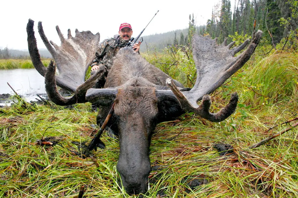 ron spomer moose 2