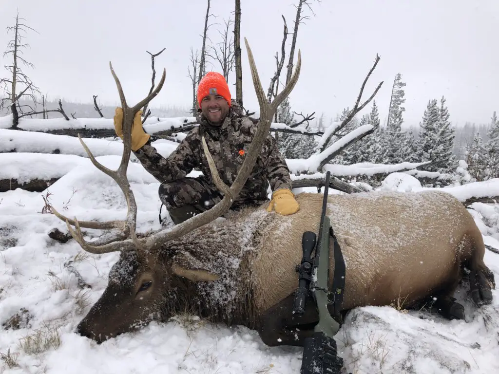 wyoming elk