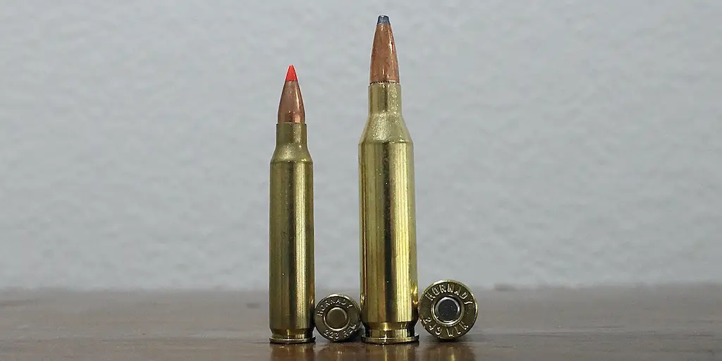 22LR vs 223 (5.56mm) what's the difference?