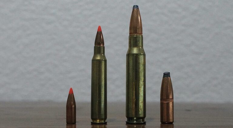 Ep 188: 223 Remington vs 308 Winchester Comparison