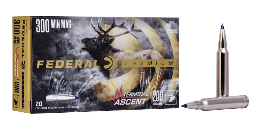 picture of best 300 win mag ammo terminal ascent