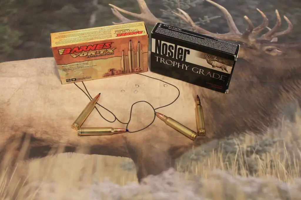 picture of 300 win mag target