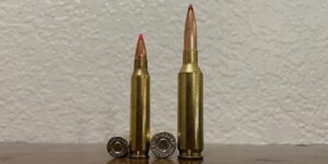 6.5 Creedmoor vs 223 Review & Comparison