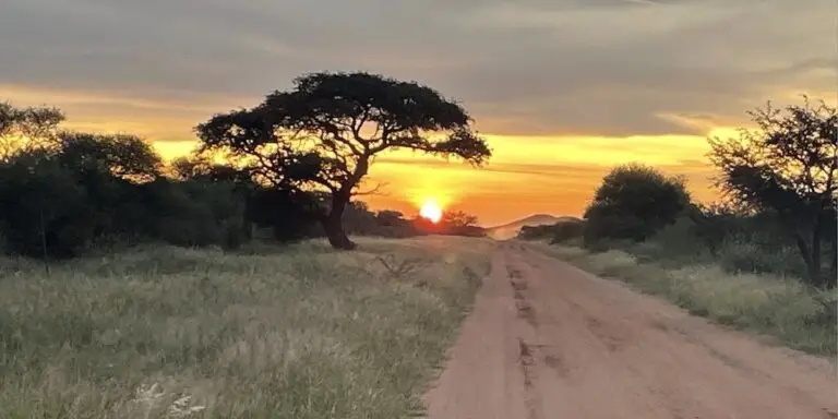 15 Best African Hunting Books For When You're Dreaming Of Being On