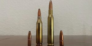 Ep 230: 243 vs 270 Cartridge Comparison