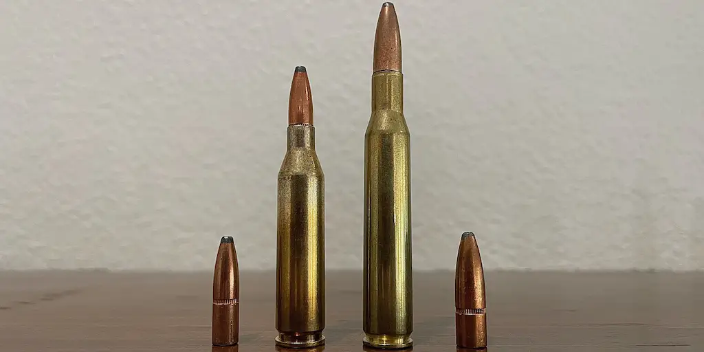 Ammunition Size Comparison (3D) 