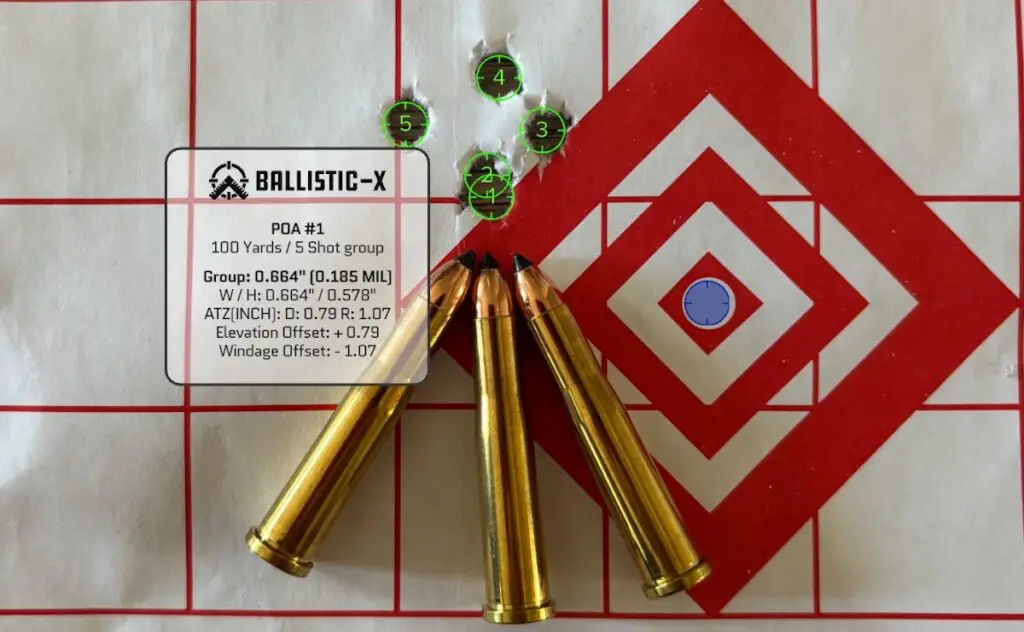 picture of best 22 hornet ammo Nosler target