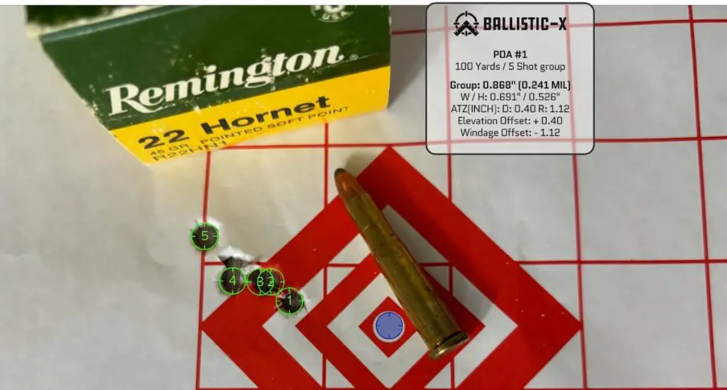 picture of best 22 hornet ammo remington target