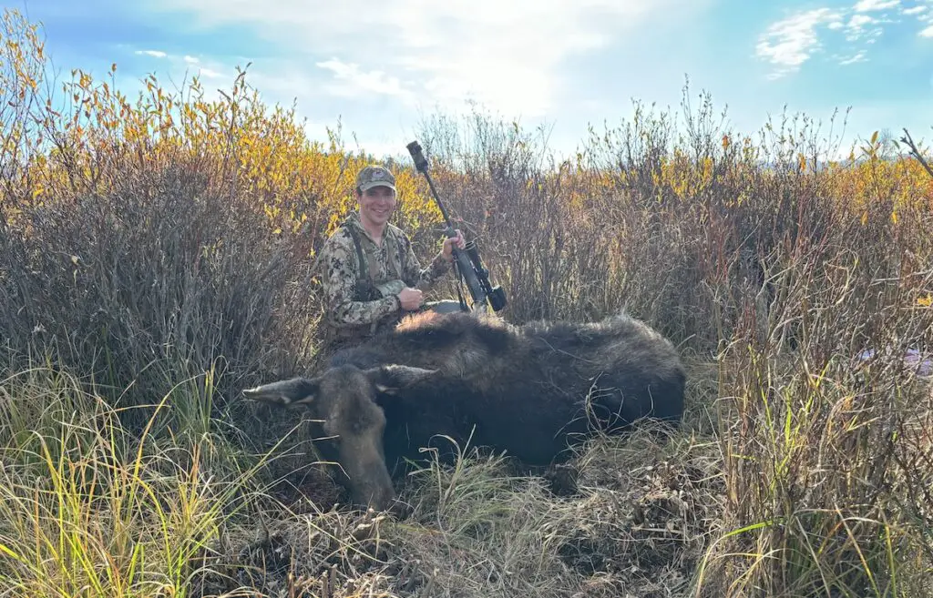 Best 7mm PRC Rifles for Hunting – Ultimate Guide (2025) 5 picture of best 7mm prc rifles sierra moose