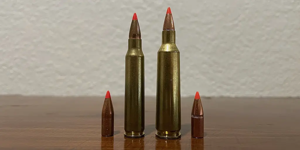 picture of 22-250 vs 223 bullets