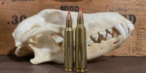 22-250 vs 223 Rem: Which is the best coyote caliber?