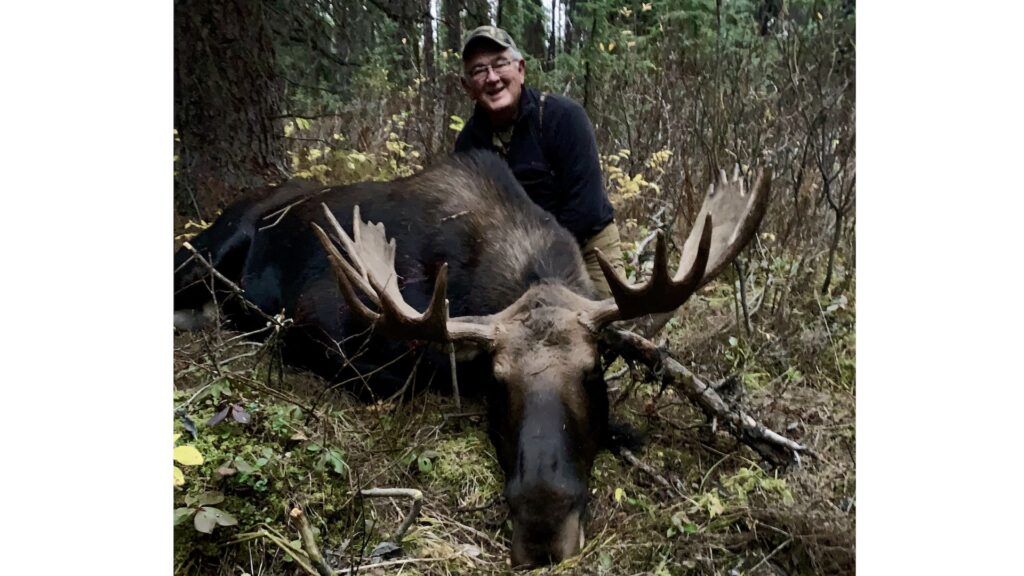 picture of 300 wsm moose