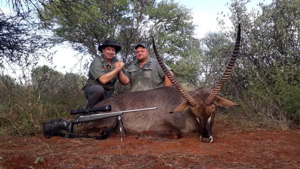 picture of 300 wsm waterbuck